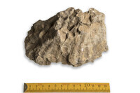 F 00887
<br/>
<br/>
<em></em>